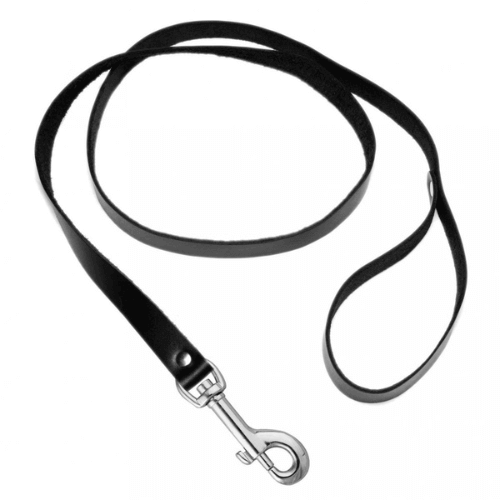 Leather 4 Foot Leash