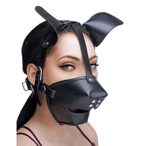 Puppy Play Hood and Breathable Ball Gag