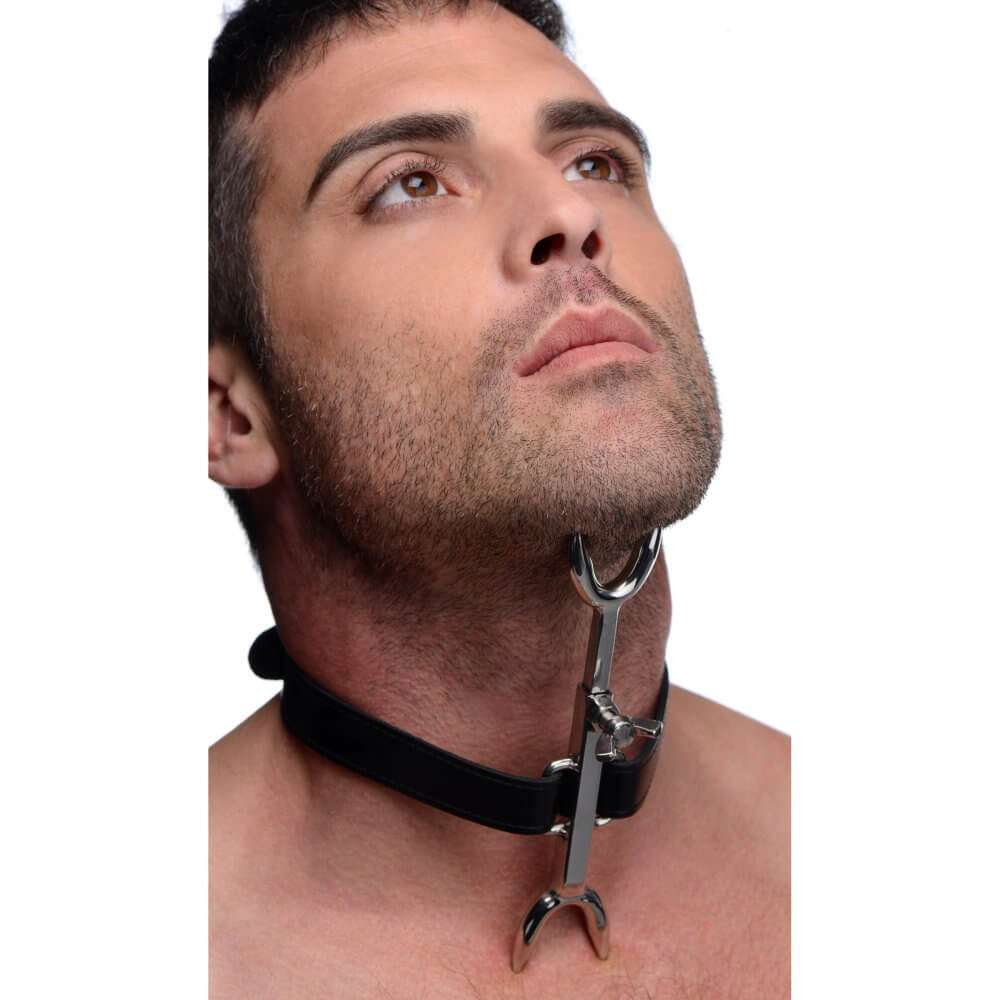 BDSM Collar Heretics Fork